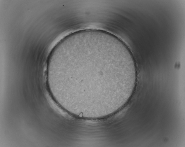 X0000111841126200909031657