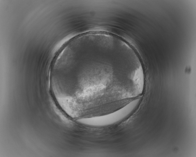 X0000111841127200909031657