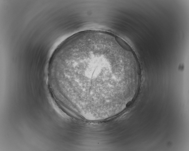 X0000111841128200909031657