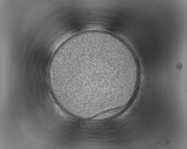 X0000111841129200909031657