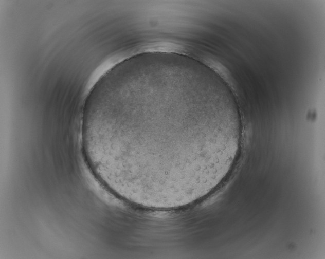 X0000111841130200909031657