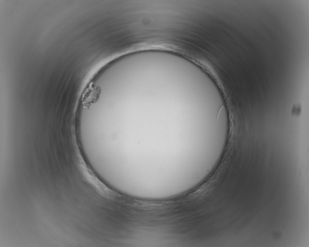 X0000111841132200909031657