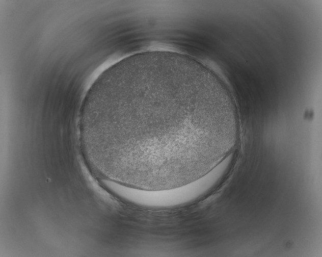 X0000111841133200909031657