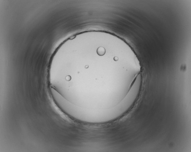 X0000111841134200909031657