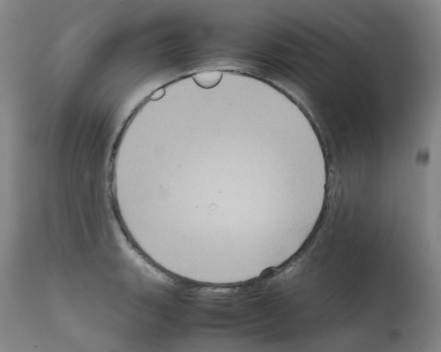 X0000111841135200909031657