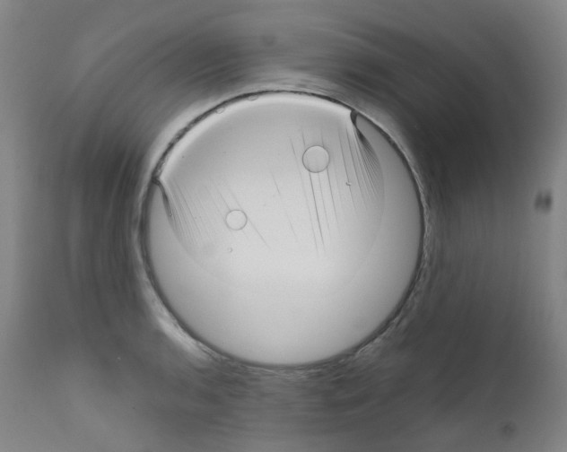 X0000111841136200909031657