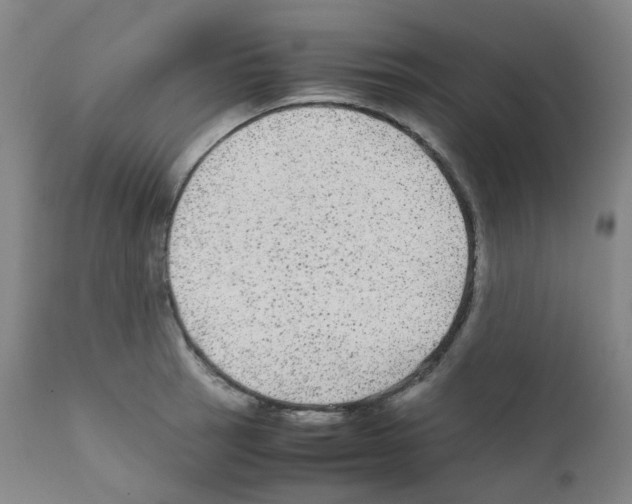 X0000111841137200909031657