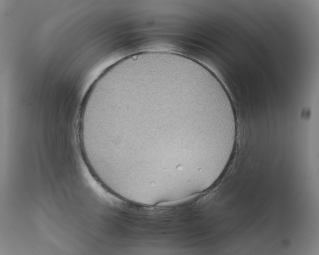 X0000111841139200909031657