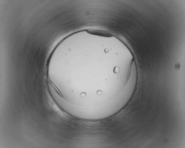 X0000111841140200909031657