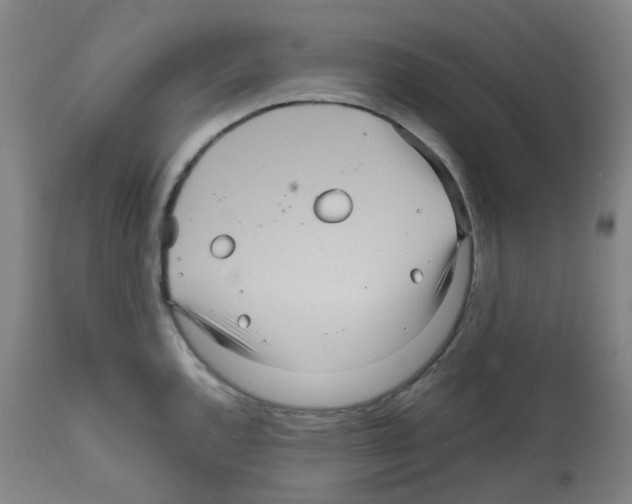 X0000111841144200909031657