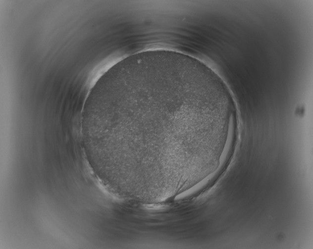 X0000111841145200909031657