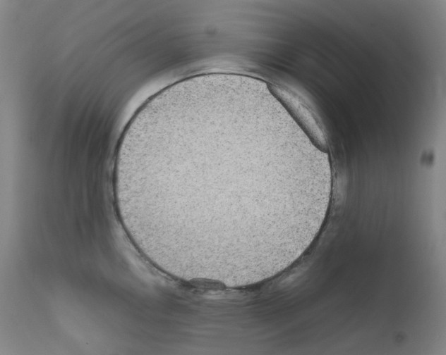 X0000111841146200909031657