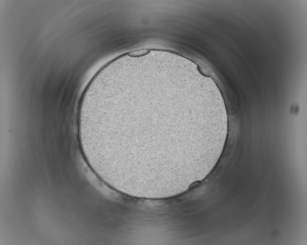 X0000111841148200909031657