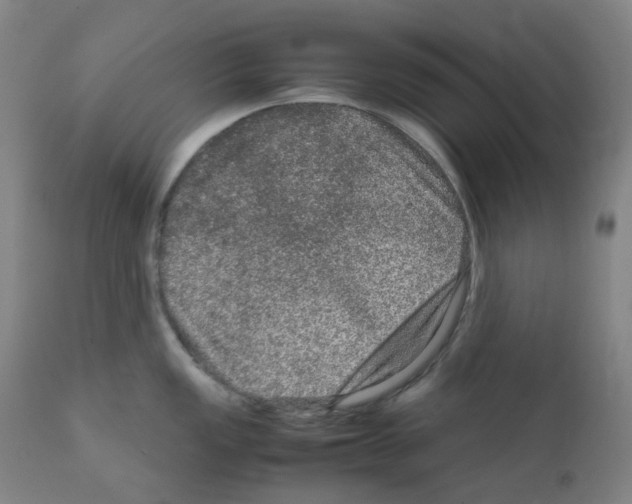 X0000111841149200909031657