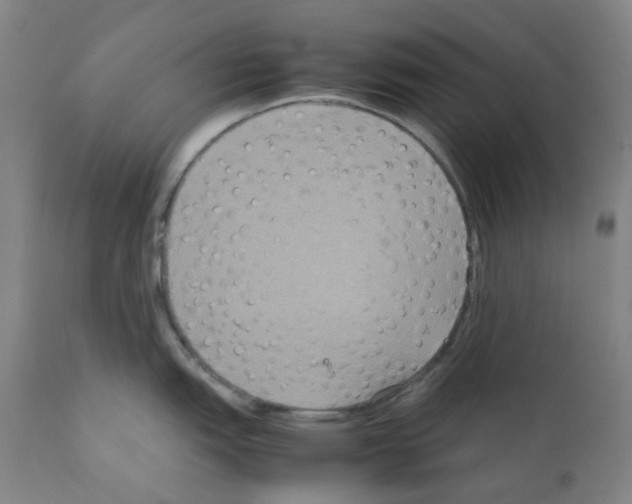 X0000111841151200909031657