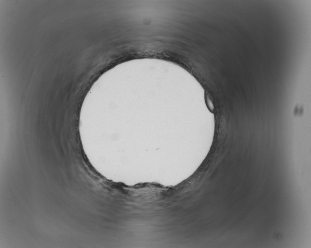 X0000111841153200909031656