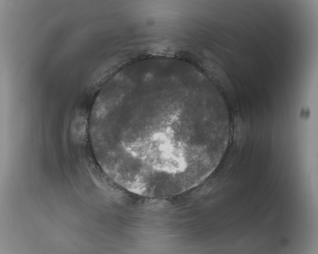 X0000111841154200909031656