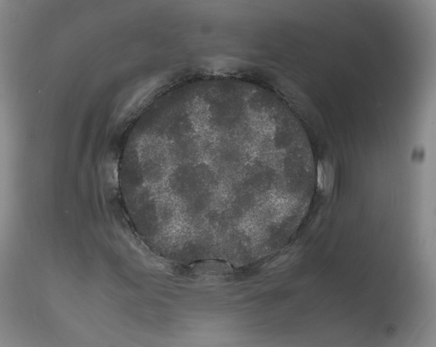 X0000111841155200909031656