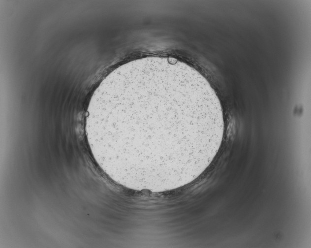 X0000111841156200909031656