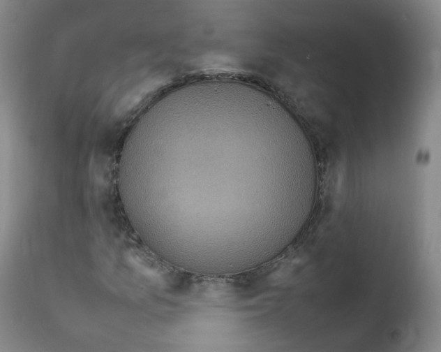 X0000111841157200909031656