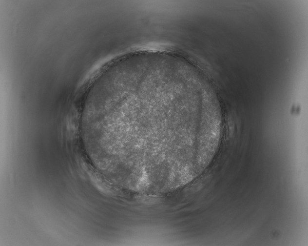 X0000111841158200909031656