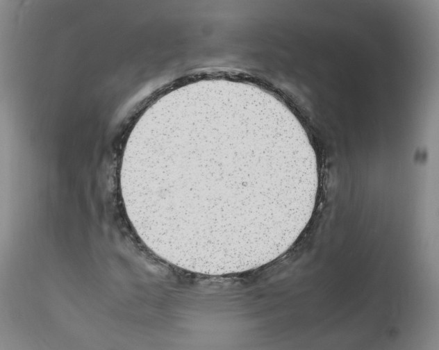 X0000111841159200909031656