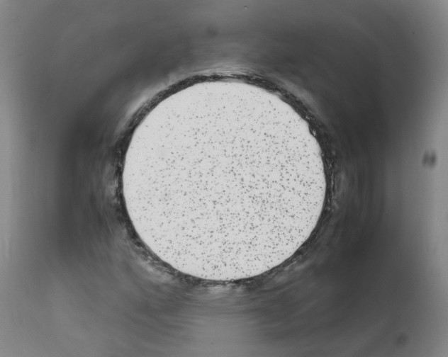 X0000111841160200909031656