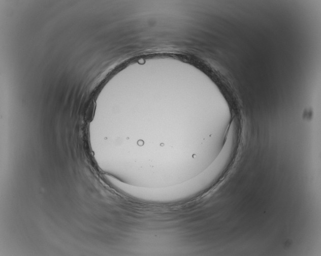 X0000111841161200909031656