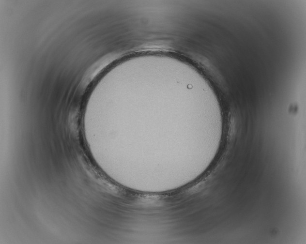 X0000111841162200909031656