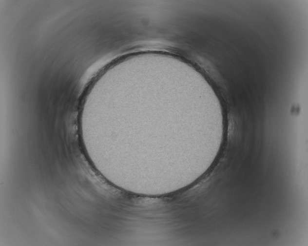 X0000111841164200909031656