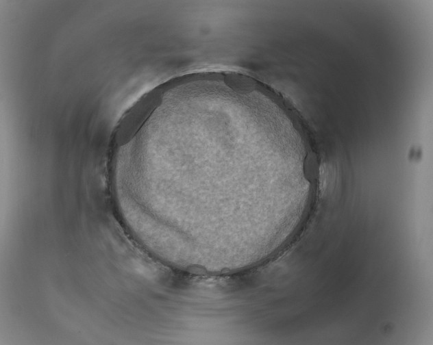 X0000111841165200909031656