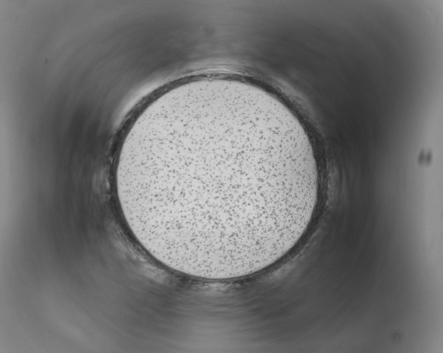 X0000111841166200909031656