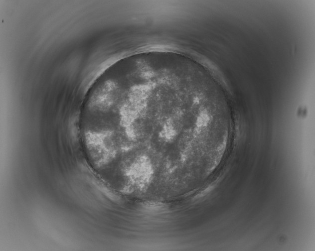 X0000111841170200909031656