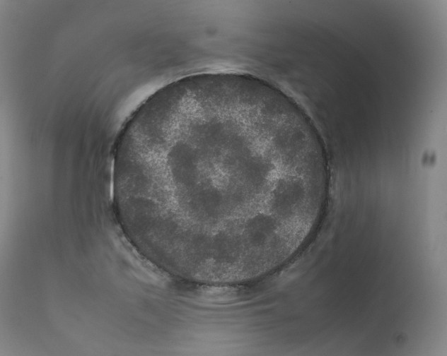 X0000111841171200909031656