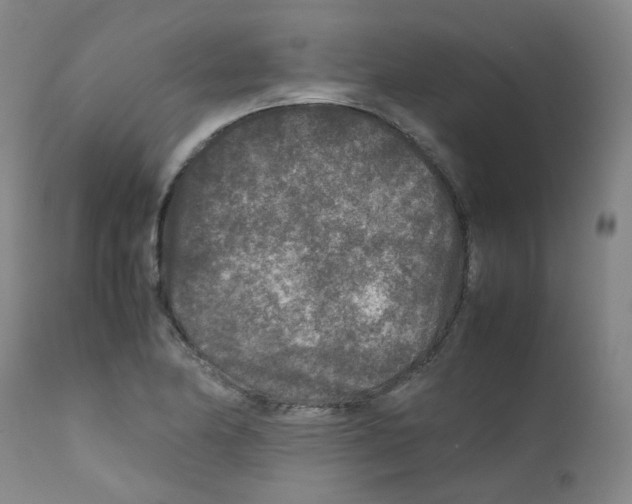 X0000111841174200909031656