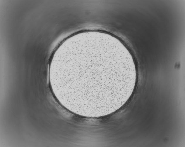 X0000111841175200909031656