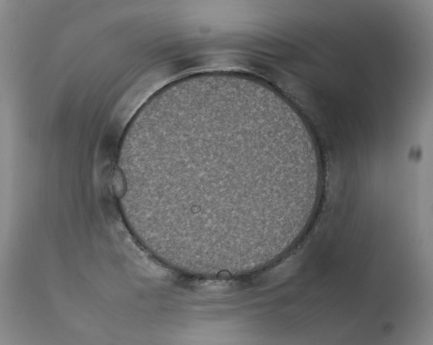 X0000111841177200909031656