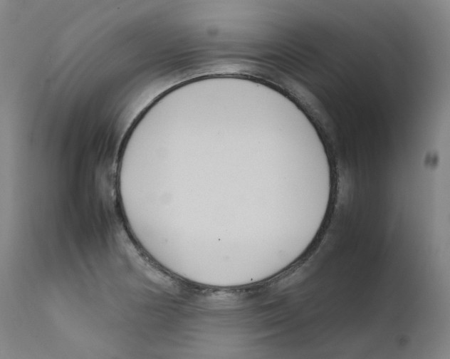 X0000111841178200909031656