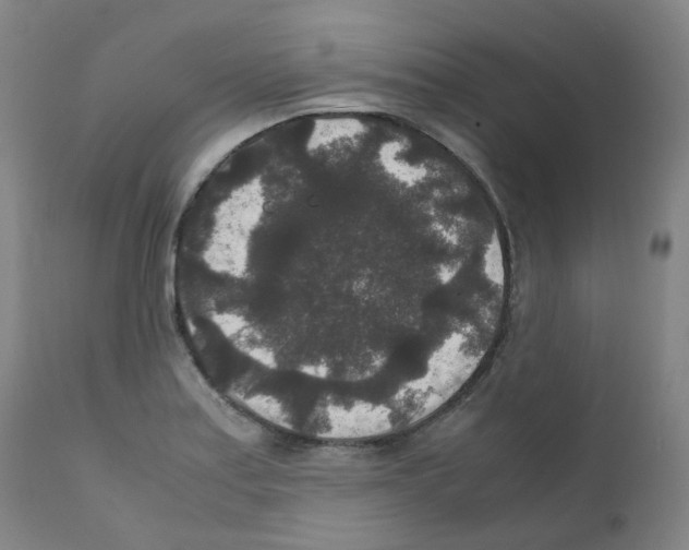 X0000111841179200909031656