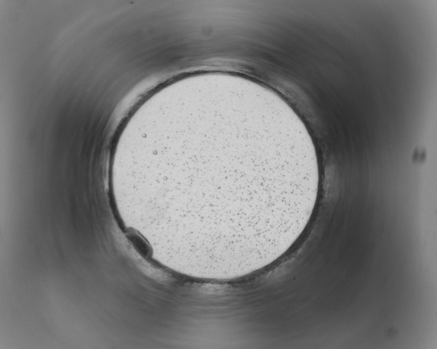 X0000111841180200909031656