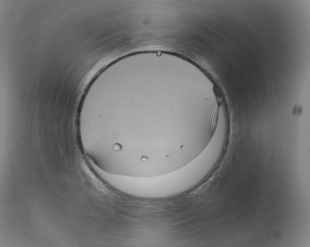 X0000111841181200909031656