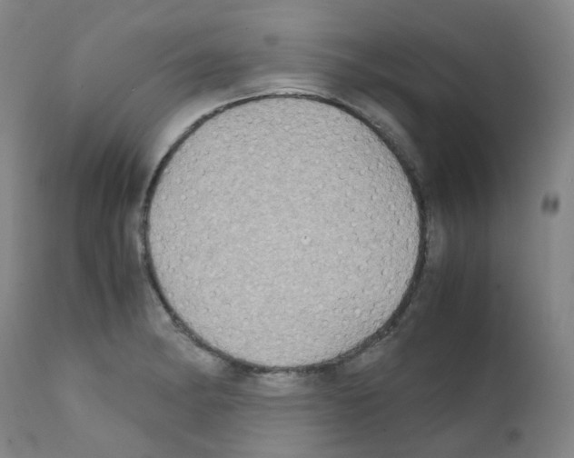 X0000111841182200909031656