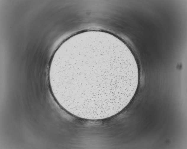 X0000111841183200909031656