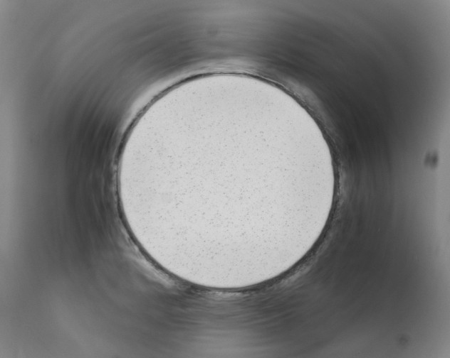 X0000111841184200909031656