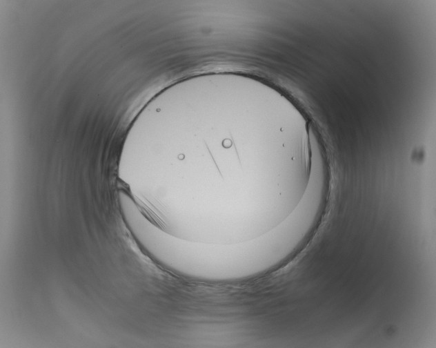 X0000111841185200909031656