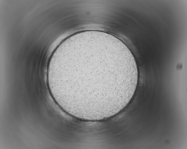 X0000111841188200909031656