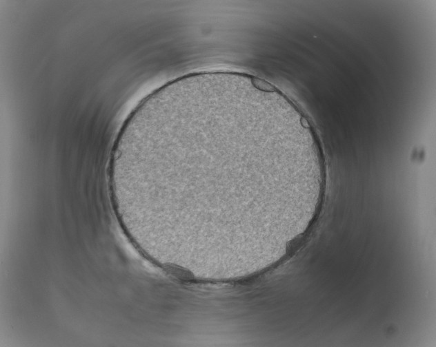 X0000111841189200909031656