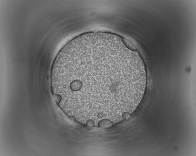 X0000111841191200909031656