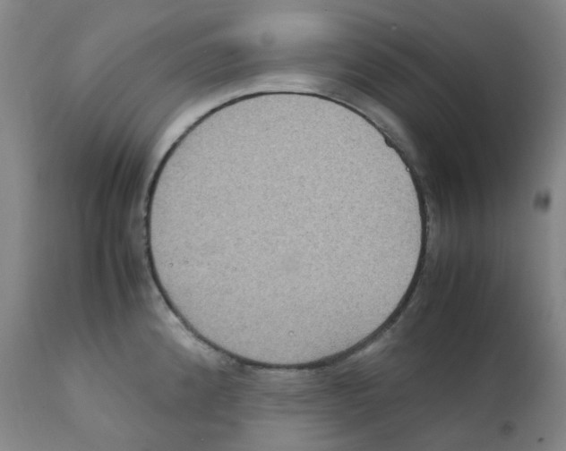 X0000111841192200909031656