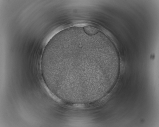 X0000111841194200909031656